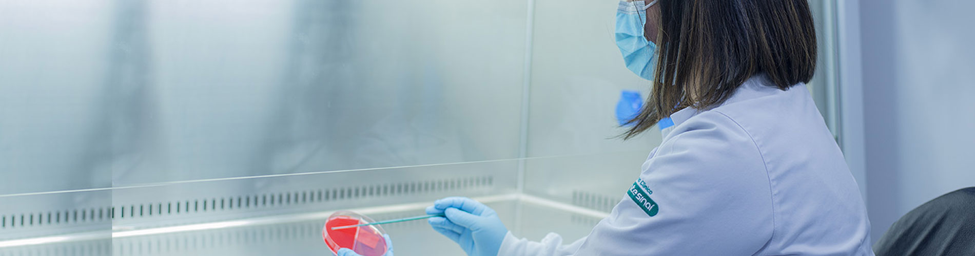 <p>Laboratorio de <strong>Microbiolog&iacute;a</strong></p>