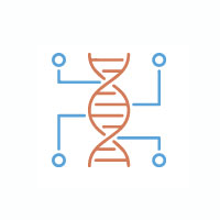 Pruebas de paternidad e identificación genética